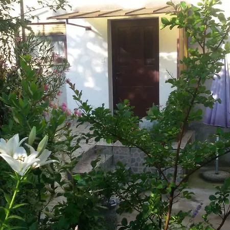 Apartament Milada Vrvilo