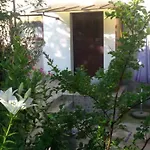 Apartment Milada Vrvilo