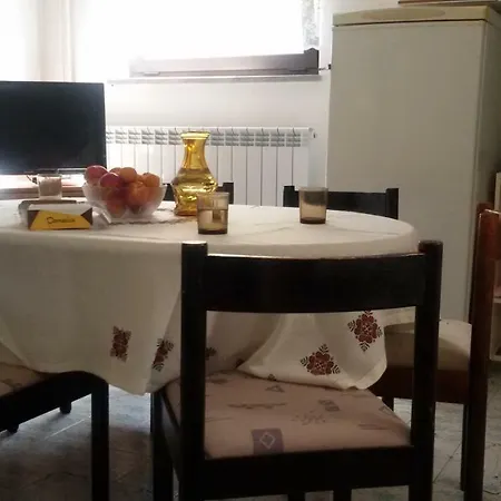 Milada Vrvilo