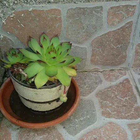 Apartamento Milada Vrvilo Matulji