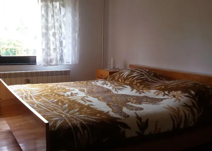 Apartment Milada Vrvilo Matulji