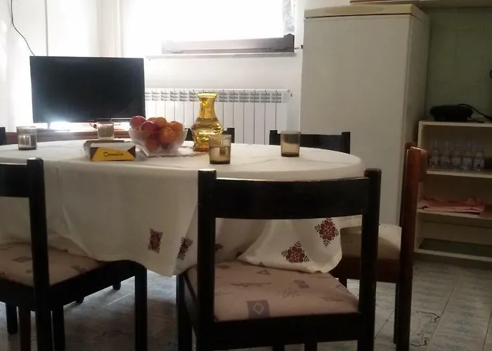 Milada Vrvilo